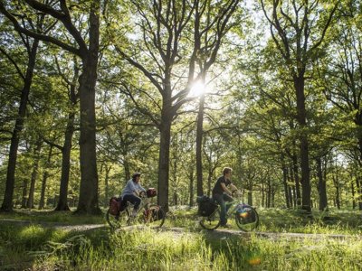 Cliquez pour découvrir toutes les photos de l'ÉTABLISSEMENT ! camping Le Lizot photo 11