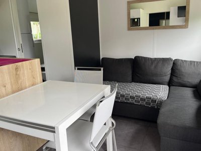 Cliquez pour découvrir toutes les photos de l'HÉBERGEMENT ! mobil-home - Le Lizot photo 5