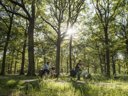Cliquez pour découvrir toutes les photos de l'ÉTABLISSEMENT ! camping Le Lizot photo 11