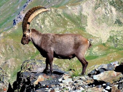 Cliquez pour découvrir toutes les photos de l'ÉTABLISSEMENT ! camping L'Iscle De Prelles photo 30