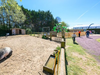 camping Les Carolins photo 6