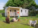 Cliquez pour découvrir toutes les photos de l'HÉBERGEMENT ! mobil-home - camping Les Carolins photo 1