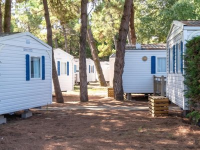 Cliquez pour découvrir toutes les photos de l'ÉTABLISSEMENT ! camping Les Maraises photo 18