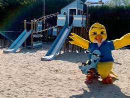 Camping Pas Cher vous présente avec son site Officiel campingpascher.fr, le Camping Paradis Des Pins - Royan classé 4 étoiles, situé sur la commune de Saint Palais Sur Mer dans le département Charente-maritime (Poitou Charentes) en France. Le camping Paradis Des Pins - Royan, vous présente un hébergement de type mobil-home de 30 m² et télévision. Le camping Paradis Des Pins - Royan vous propose du sam. 30 mai au sam. 06 juin 2026, en promotion à -21% pour 7 nuits à 159 € au lieu de 202,0 € soit une Économie de 43 €. Cette location propose 30 dates différentes pour réserver votre séjour. Découvrez également les 20 autres gammes d'hébergements du camping. Les Avis clients pour le Camping Paradis Des Pins - Royan sont excellents avec une note moyenne de 8 sur 10. Piscine couverte, Piscine extérieure, Animations familiales, Club enfants, Aire de jeux enfants, Baby-foot, Centre équestre, Cyclisme, Flipper, Location de bateaux, Paddle, Ping-pong, Plongée, Pétanque, Randonnée, Salle de jeux vidéo, Structure gonflable enfants, Surf, Terrain de football, Trampoline, Bar, Boulangerie, Bureau de tabac, Dépôt de pain, Plats à emporter, Restaurant, Snack/Bar, Station-service, Supermarché, Épicerie,... En savoir plus : cliquez-ICI.