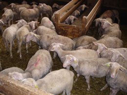 Camping Pas Cher vous présente avec son site Officiel campingpascher.fr, le Camping Ushuaïa Villages Sabot classé 3 étoiles, situé sur la commune de Saint Maurice De Lignon dans le département Haute-loire (Auvergne) en France. Le camping Ushuaïa Villages Sabot vous propose un hébergement de type mobil-home de 29 m² avec climatisation (télévision). L'établissement vous propose 3 autres types d'hébergements. Découvrez tous nos séjours à petits prix dans la commune et aux alentours de Saint Maurice De Lignon du département : Haute-loire (Auvergne). Les Avis clients pour le Camping Ushuaïa Villages Sabot sont excellents avec une note moyenne de 8 sur 10. Piscine chauffée, Piscine extérieure, Aire de jeux enfants, Baby-foot, Canoë-kayak, Ping-pong, Pétanque, Randonnée, Terrain multisports, Boulangerie, Bureau de tabac, Snack/Bar,... En savoir plus : cliquez-ICI.