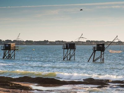 Cliquez pour découvrir toutes les photos de l'ÉTABLISSEMENT ! établissement Du Bord De Mer photo 20
