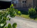 Cliquez pour découvrir toutes les photos de l'HÉBERGEMENT ! mobil-home - camping Paradis L'Ile De Kernodet photo 5