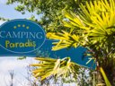 camping Paradis L'Ile De Kernodet photo 7
