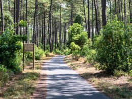 Camping Pas Cher vous présente avec son site Officiel campingpascher.fr, le Camping Maeva Escapades La Clairière classé 4 étoiles, situé sur la commune de Saint Paul En Born dans le département Landes (Aquitaine) en France. Le camping Maeva Escapades La Clairière, vous présente un hébergement de type mobil-home de 24 m² pour 2 personnes avec climatisation et télévision. Le camping Maeva Escapades La Clairière vous proposeun séjour PAS CHER avec une REMISEdu sam. 16 mai au sam. 23 mai 2026, en promotion à -30% pour 7 nuits à 199 € au lieu de 284,29 € soit une Économie de 85,29 €. Cette location propose 104 dates différentes pour réserver votre séjour. Découvrez également les 10 autres gammes d'hébergements du camping. Les Avis clients pour le Camping Maeva Escapades La Clairière sont excellents avec une note moyenne de 8 sur 10. MerRivière, Piscine chauffée, Piscine extérieure, Animation ados, Animations familiales, Club enfants, Aire de jeux enfants, Canoë-kayak, Court de tennis, Cyclisme, Golf, Paddle, Ping-pong, Pétanque, Salle de fitness, Sports nautiques, Surf, Terrain de football, Terrain de volley-ball, Terrain multisports, Voile, Bar, Dépôt de pain, Plats à emporter, Restaurant,... En savoir plus : cliquez-ICI.