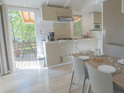 Cliquez pour découvrir toutes les photos de l'HÉBERGEMENT ! mobil-home - Le Parc photo 7