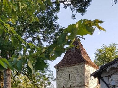 Cliquez pour découvrir toutes les photos de l'ÉTABLISSEMENT ! camping Des Arcades photo 23