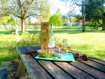 Cliquez pour découvrir toutes les photos de l'ÉTABLISSEMENT ! camping Quercy Vacances photo 15