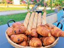 Cliquez pour découvrir toutes les photos de l'ÉTABLISSEMENT ! camping Quercy Vacances photo 7