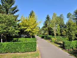Camping Pas Cher vous présente avec son site Officiel campingpascher.fr, le Camping Des Abesses classé 2 étoiles, situé sur la commune de Saint Paul Les Dax dans le département Landes (Aquitaine) en France. Le camping Des Abesses, vous présente un hébergement de type mobil-home. Le camping Des Abesses vous propose du vendredi 05 juin au vendredi 12 juin 2026 avec un DÉPART DEMAIN pour 7 nuits à 441€. Cette location propose 86 dates différentes pour réserver votre séjour. Découvrez également les 1 autres gammes d'hébergements du camping. Les Avis clients pour le Camping Des Abesses sont excellents avec une note moyenne de 8 sur 10. Piscine chauffée, Piscine extérieure, Court de tennis, Cyclisme, Pétanque, Randonnée, Dépôt de pain, Food truck, Supermarché,... En savoir plus : cliquez-ICI.