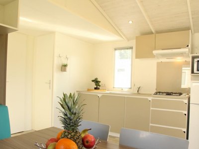 mobil-home - Les Rives De L'Adour - Paradis photo 3
