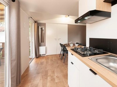Cliquez pour découvrir toutes les photos de l'HÉBERGEMENT ! mobil-home - Les Rives De L'Adour - Paradis photo 2