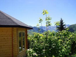 Camping Pas Cher vous présente avec son site Officiel campingpascher.fr, le Camping Domaine Du Trappeur classé 3 étoiles, situé sur la commune de Saint Sorlin D'arves dans le département Savoie (Rhône Alpes) en France. Le camping Domaine Du Trappeur, vous présente un hébergement de type hébergement insolite de 5 m². Le camping Domaine Du Trappeur vous proposeun séjour PAS CHER avec une REMISEdu mercredi 06 mai au mercredi 13 mai 2026, en promotion à -49% pour 7 nuits à 213 € au lieu de 425,5 € soit une Économie de 212,50 €. Cette location propose 90 dates différentes pour réserver votre séjour. Découvrez également les 12 autres gammes d'hébergements du camping. Les Avis clients pour le Camping Domaine Du Trappeur sont excellents avec une note moyenne de 8 sur 10. LacÉtang, Baby-foot, Ping-pong, Piscine, Pétanque, Trampoline, Bar, Dépôt de pain, Restaurant, Épicerie,... En savoir plus : cliquez-ICI.