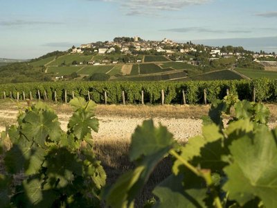 Cliquez pour découvrir toutes les photos de l'ÉTABLISSEMENT ! camping Les Portes De Sancerre photo 16