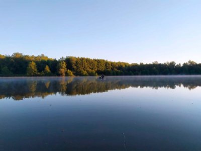Cliquez pour découvrir toutes les photos de l'ÉTABLISSEMENT ! camping Parc Des Joumiers photo 11