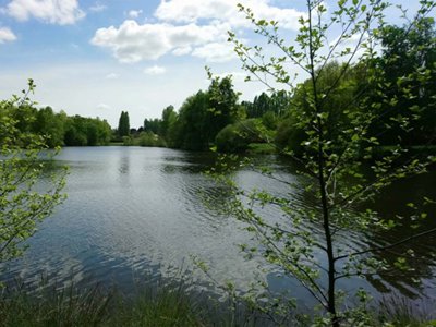 Cliquez pour découvrir toutes les photos de l'ÉTABLISSEMENT ! camping Parc Des Joumiers photo 12