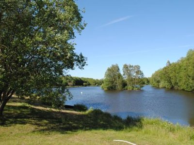 Cliquez pour découvrir toutes les photos de l'ÉTABLISSEMENT ! camping Parc Des Joumiers photo 14