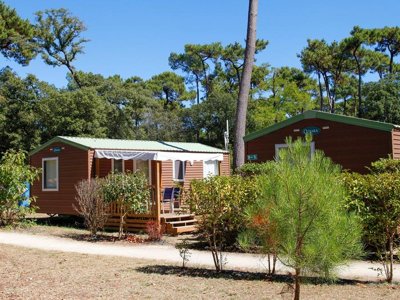Cliquez pour découvrir toutes les photos de l'ÉTABLISSEMENT ! camping Flower Monplaisir | Oléron 4 étoiles photo 10