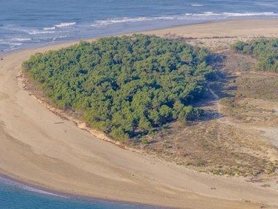 Cliquez pour découvrir toutes les photos de l'ÉTABLISSEMENT ! camping Flower Monplaisir | Oléron 4 étoiles photo 12