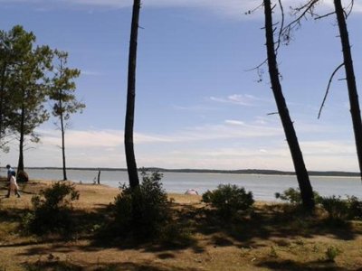 Cliquez pour découvrir toutes les photos de l'ÉTABLISSEMENT ! camping Flower Monplaisir | Oléron 4 étoiles photo 13