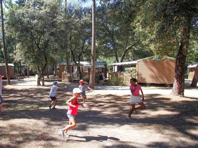 Cliquez pour découvrir toutes les photos de l'ÉTABLISSEMENT ! camping Flower Monplaisir | Oléron 4 étoiles photo 15