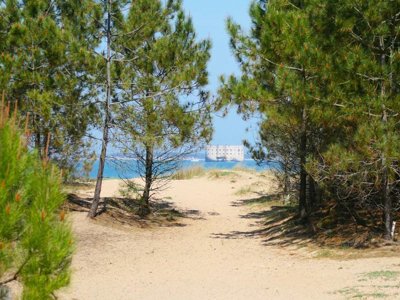 Cliquez pour découvrir toutes les photos de l'ÉTABLISSEMENT ! camping Flower Monplaisir | Oléron 4 étoiles photo 22