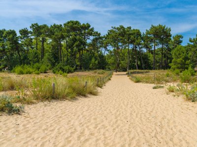 Cliquez pour découvrir toutes les photos de l'ÉTABLISSEMENT ! camping Flower Monplaisir | Oléron 4 étoiles photo 26