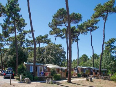 Cliquez pour découvrir toutes les photos de l'ÉTABLISSEMENT ! camping Flower Monplaisir | Oléron 4 étoiles photo 9