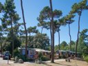 Cliquez pour découvrir toutes les photos de l'ÉTABLISSEMENT ! camping Flower Monplaisir | Oléron 4 étoiles photo 9