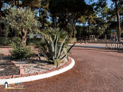 Cliquez pour découvrir toutes les photos de l'ÉTABLISSEMENT ! camping Oléron Saint Tro'Park photo 17