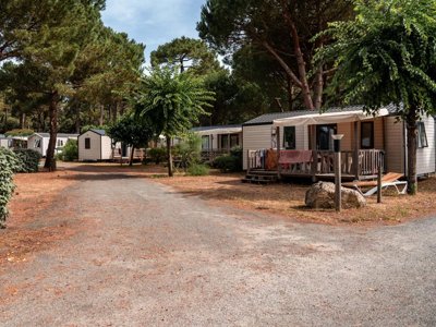 Cliquez pour découvrir toutes les photos de l'ÉTABLISSEMENT ! camping Oléron Saint Tro'Park photo 27