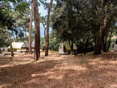 lodge - Oléron Saint Tro'Park photo 3
