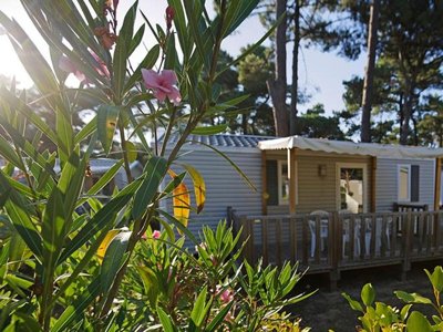 Cliquez pour découvrir toutes les photos de l'HÉBERGEMENT ! mobil-home - Oléron Saint Tro'Park photo 3