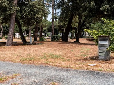 Cliquez pour découvrir toutes les photos de l'ÉTABLISSEMENT ! camping Oléron Saint Tro'Park photo 29