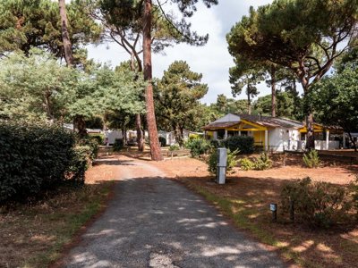 Cliquez pour découvrir toutes les photos de l'ÉTABLISSEMENT ! camping Oléron Saint Tro'Park photo 8