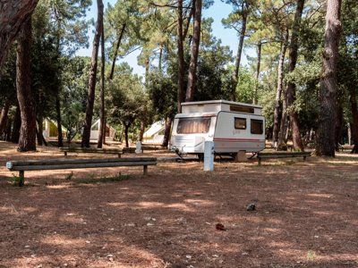 Cliquez pour découvrir toutes les photos de l'ÉTABLISSEMENT ! camping Oléron Saint Tro'Park photo 9