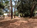 lodge - camping Oléron Saint Tro'Park photo 3