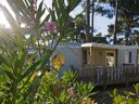 Cliquez pour découvrir toutes les photos de l'HÉBERGEMENT ! mobil-home - camping Oléron Saint Tro'Park photo 3
