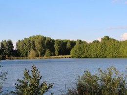 Camping Pas Cher vous présente avec son site Officiel campingpascher.fr, le Camping Les Rulières classé 3 étoiles, situé sur la commune de Saint Valerien dans le département Vendée (Pays De La Loire) en France. Le camping Les Rulières, vous présente un hébergement de type chalet de 35 m² pour 1 personne. Le camping Les Rulières vous proposeun séjour PAS CHER avec une REMISEdu sam. 13 juin au sam. 20 juin 2026, en promotion à -45% pour 7 nuits à 199 € au lieu de 366,0 € soit une Économie de 167 €. Cette location propose 19 dates différentes pour réserver votre séjour. Découvrez également les 6 autres gammes d'hébergements du camping. Les Avis clients pour le Camping Les Rulières sont excellents avec une note moyenne de 8 sur 10. Piscine chauffée, Piscine couverte, Centre équestre, Cyclisme, Pétanque, Randonnée, Dépôt de pain, Restaurant,... En savoir plus : cliquez-ICI.