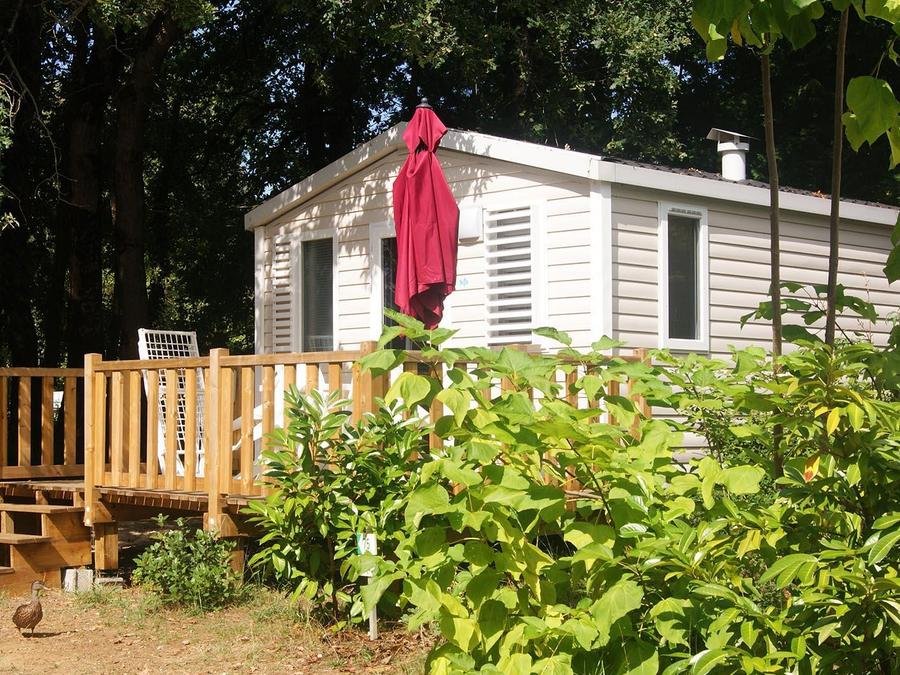 Camping Pas Cher vous présente avec son site Officiel campingpascher.fr, le Camping Les Etangs Mina classé 3 étoiles, situé sur la commune de Saint Sornin dans le département Charente-maritime (Poitou Charentes) en France. Le camping Les Etangs Mina, vous présente un hébergement de type mobil-home de 17 m². Le camping Les Etangs Mina vous propose du jeudi 25 juin au jeudi 02 juillet 2026 pour 7 nuits à 343€. Cette location propose 20 dates différentes pour réserver votre séjour. Découvrez également les 23 autres gammes d'hébergements du camping. Les Avis clients pour le Camping Les Etangs Mina sont excellents avec une note moyenne de 8 sur 10. MerÉtang, Piscine extérieure, Animation ados, Animations familiales, Club enfants, Aire de jeux enfants, Baby-foot, Canoë-kayak, Cyclisme, Parcours sportif, Ping-pong, Piscine, Pétanque, Randonnée, Salle de jeux vidéo, Structure gonflable enfants, Bar, Dépôt de pain, Pizzeria, Plats à emporter, Snack/Bar, Épicerie,... En savoir plus : cliquez-ICI.