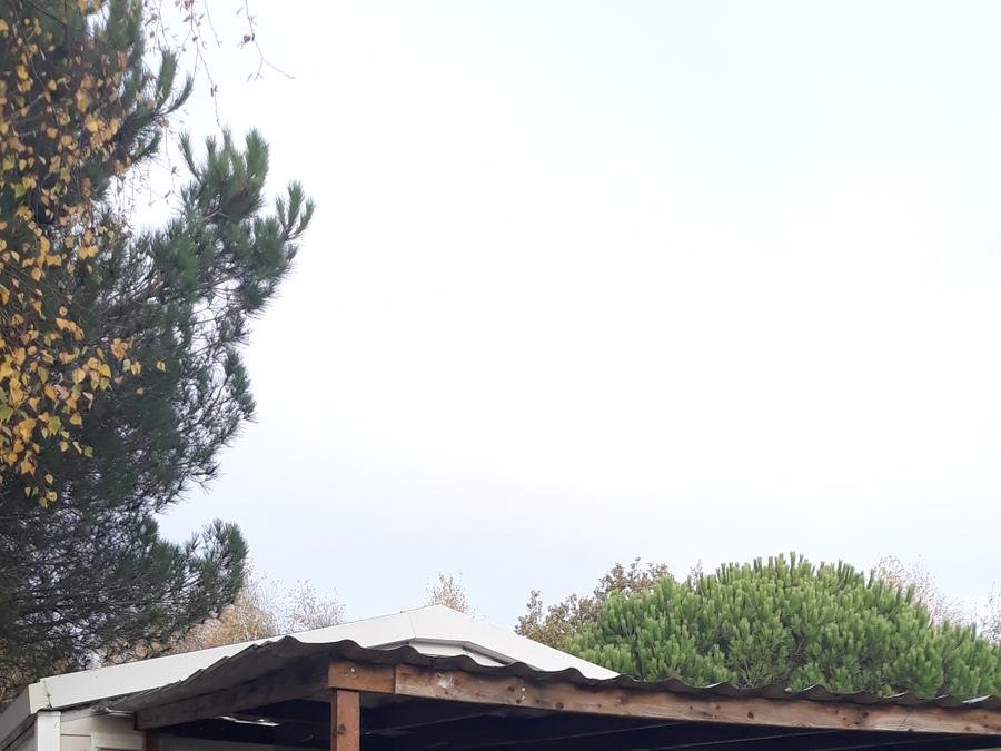 Camping Pas Cher vous présente avec son site Officiel campingpascher.fr, le Camping Les Etangs Mina classé 3 étoiles, situé sur la commune de Saint Sornin dans le département Charente-maritime (Poitou Charentes) en France. Le camping Les Etangs Mina, vous présente un hébergement de type mobil-home de 17 m². Le camping Les Etangs Mina vous propose du sam. 04 juillet au sam. 11 juillet 2026, en promotion à -10% pour 7 nuits à 378 € au lieu de 420,0 € soit une Économie de 42 €. Cette location propose 37 dates différentes pour réserver votre séjour. Découvrez également les 27 autres gammes d'hébergements du camping. Les Avis clients pour le Camping Les Etangs Mina sont excellents avec une note moyenne de 8 sur 10. MerÉtang, Piscine extérieure, Animation ados, Animations familiales, Club enfants, Aire de jeux enfants, Baby-foot, Canoë-kayak, Cyclisme, Parcours sportif, Ping-pong, Piscine, Pétanque, Randonnée, Salle de jeux vidéo, Structure gonflable enfants, Bar, Dépôt de pain, Pizzeria, Plats à emporter, Snack/Bar, Épicerie,... En savoir plus : cliquez-ICI.