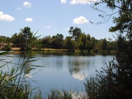 Camping Pas Cher vous présente avec son site Officiel campingpascher.fr, le Camping Maeva Escapades Les Etangs Mina classé 3 étoiles, situé sur la commune de Saint Sornin dans le département Charente-maritime (Poitou Charentes) en France. Le camping Maeva Escapades Les Etangs Mina, vous présente un hébergement de type mobil-home de 17 m². Le camping Maeva Escapades Les Etangs Mina vous propose du sam. 25 avril au sam. 02 mai 2026 pour 7 nuits à 349€. Cette location propose 94 dates différentes pour réserver votre séjour. Découvrez également les 25 autres gammes d'hébergements du camping. Les Avis clients pour le Camping Maeva Escapades Les Etangs Mina sont excellents avec une note moyenne de 8 sur 10. MerÉtang, Piscine extérieure, Animation ados, Animations familiales, Club enfants, Aire de jeux enfants, Baby-foot, Canoë-kayak, Cyclisme, Parcours sportif, Ping-pong, Piscine, Pétanque, Randonnée, Salle de jeux vidéo, Structure gonflable enfants, Bar, Dépôt de pain, Pizzeria, Plats à emporter, Snack/Bar, Épicerie,... En savoir plus : cliquez-ICI.