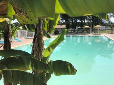 Cliquez pour découvrir toutes les photos de l'ÉTABLISSEMENT ! camping Las Chancas photo 12