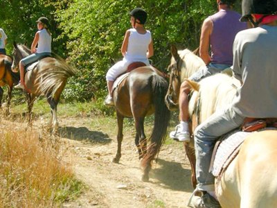 Cliquez pour découvrir toutes les photos de l'ÉTABLISSEMENT ! camping Domaine Des Blachas photo 13