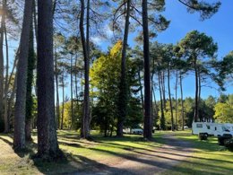 Camping Pas Cher vous présente avec son site Officiel campingpascher.fr, le Camping Val De L'eyre classé 4 étoiles, situé sur la commune de Salles dans le département Gironde (Aquitaine) en France. Le camping Val De L'eyre, vous présente un hébergement de type mobil-home pour 4 personnes. Le camping Val De L'eyre vous propose du mardi 01 décembre au mardi 08 décembre 2026 pour 7 nuits à 198€. Cette location propose 176 dates différentes pour réserver votre séjour. Découvrez également les 9 autres gammes d'hébergements du camping. Les Avis clients pour le Camping Val De L'eyre sont excellents avec une note moyenne de 8 sur 10. Rivière, Piscine extérieure, Club enfants, Aire de jeux enfants, Baby-foot, Canoë-kayak, Parcours sportif, Ping-pong, Pétanque, Terrain de football, Trampoline, Bar,... En savoir plus : cliquez-ICI.