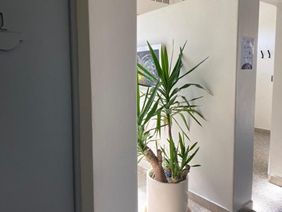 Cliquez pour découvrir toutes les photos de l'HÉBERGEMENT ! tente - Glamping Sainte Suzanne photo 8